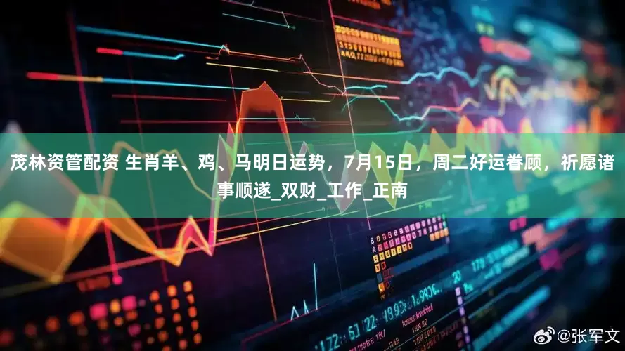 茂林资管配资 生肖羊、鸡、马明日运势，7月15日，周二好运眷顾，祈愿诸事顺遂_双财_工作_正南