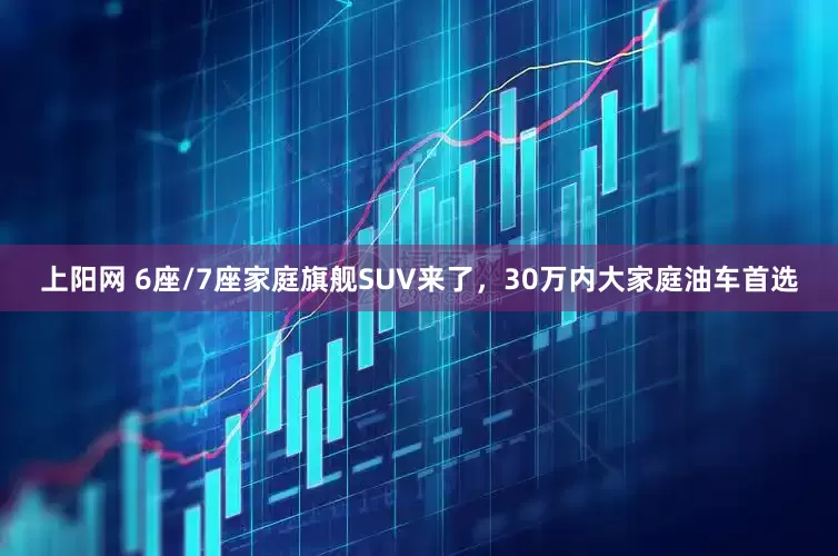 上阳网 6座/7座家庭旗舰SUV来了，30万内大家庭油车首选