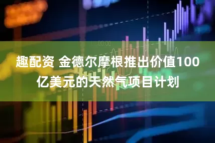 趣配资 金德尔摩根推出价值100亿美元的天然气项目计划